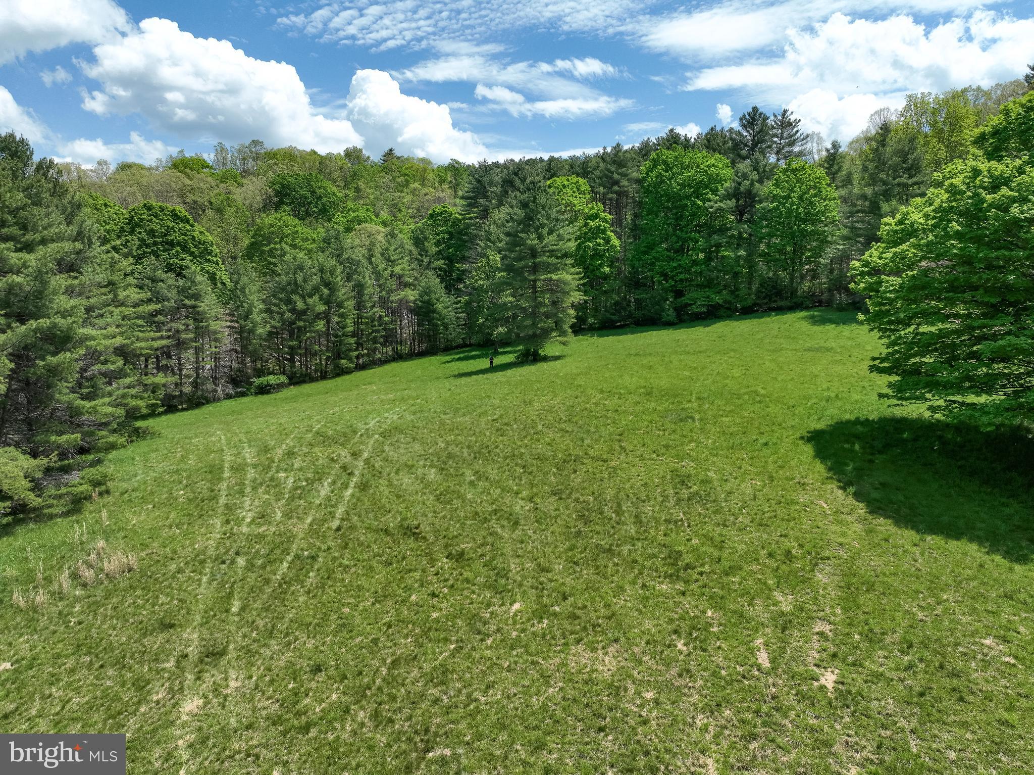 0 Mccarty Lane Dunmore, WV 24934 - Photo 13 of 19