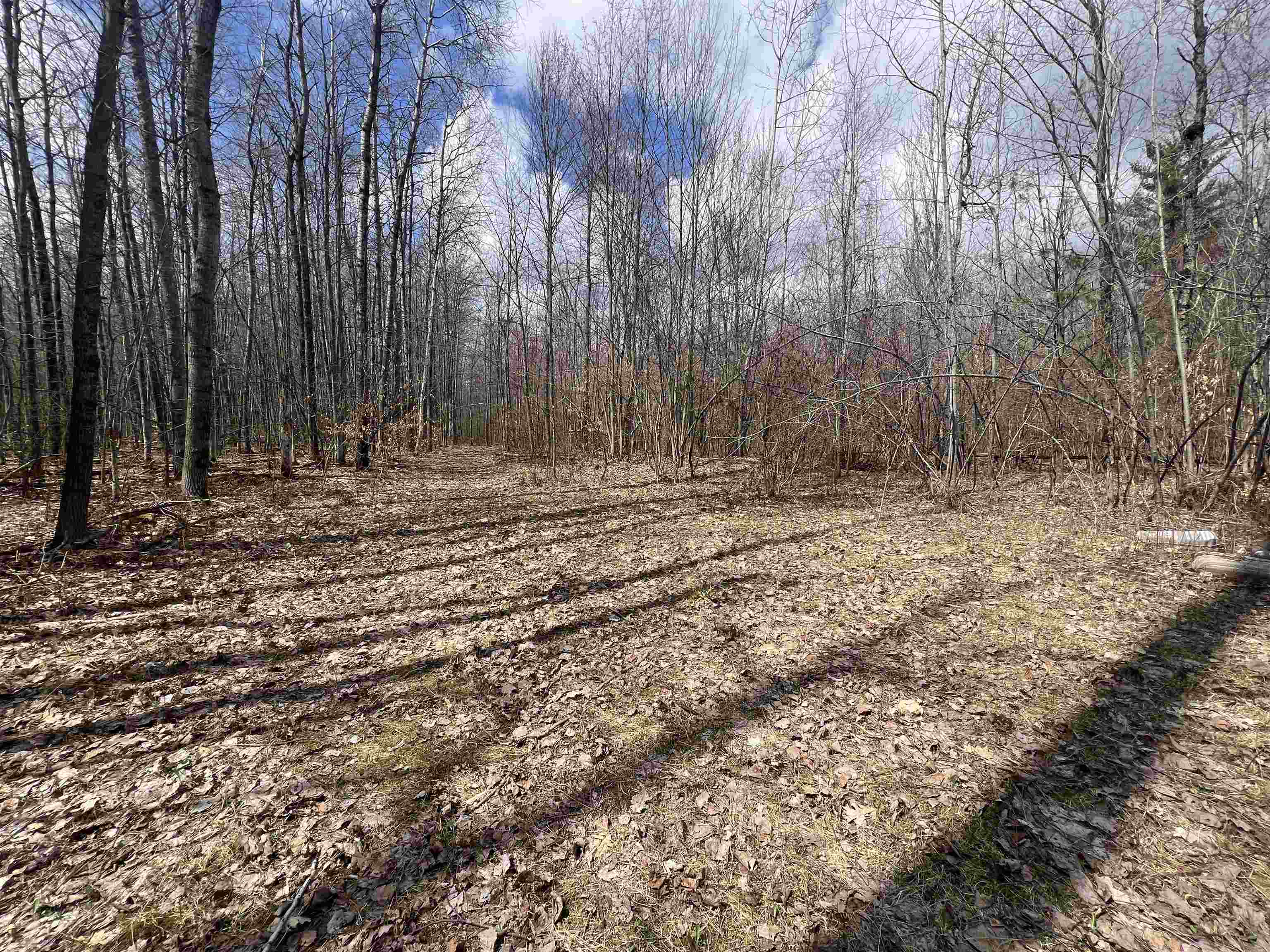 1350 Birch Road Harrison, MI 48625 - Photo 7 of 31 Gallery Image 7