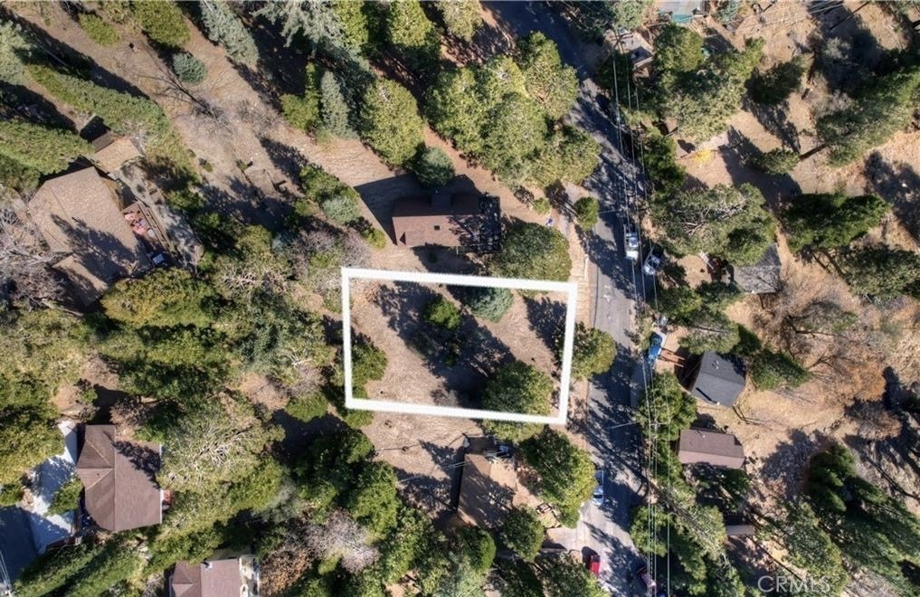 2402 Spring Oak Drive Running Springs, CA 92382 - Photo 5 of 11 a picture of tree