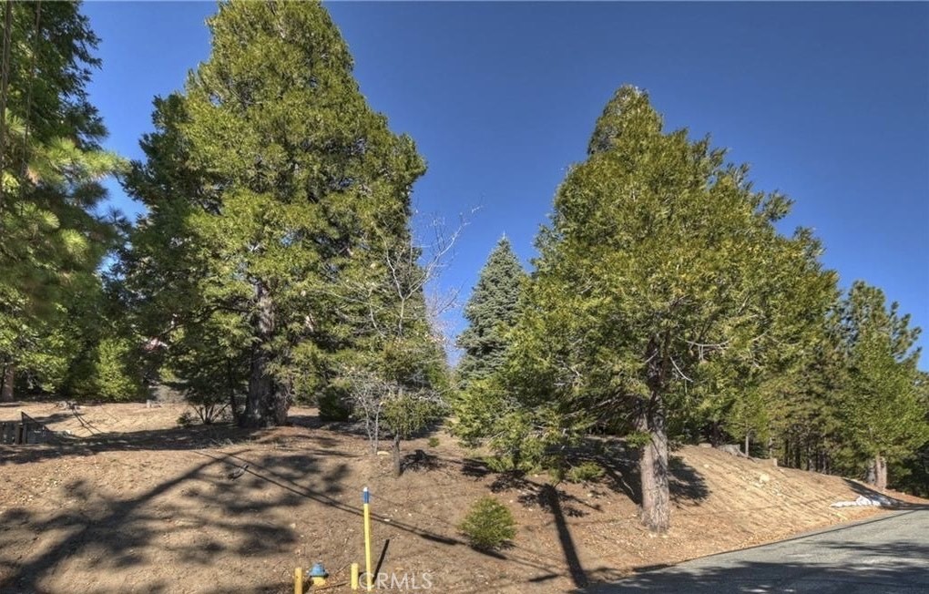 2402 Spring Oak Drive Running Springs, CA 92382 - Photo 6 of 11 a view of a yard