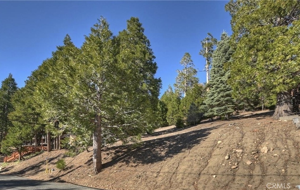 2402 Spring Oak Drive Running Springs, CA 92382 - Photo 7 of 11 a view of a yard with plants and trees