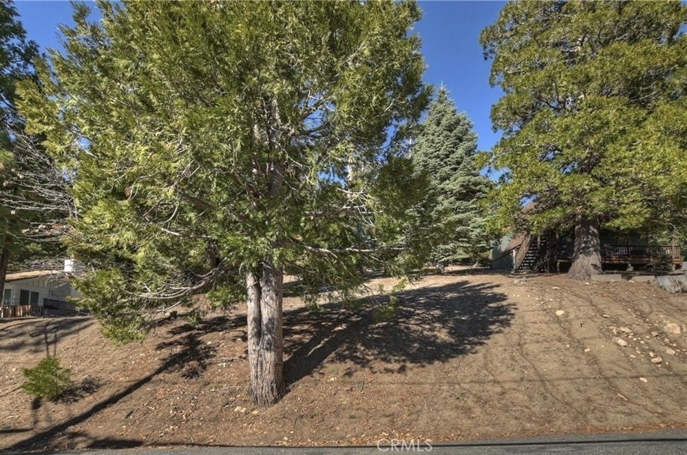 2402 Spring Oak Drive Running Springs, CA 92382 - Photo 8 of 11 a pathway of a yard