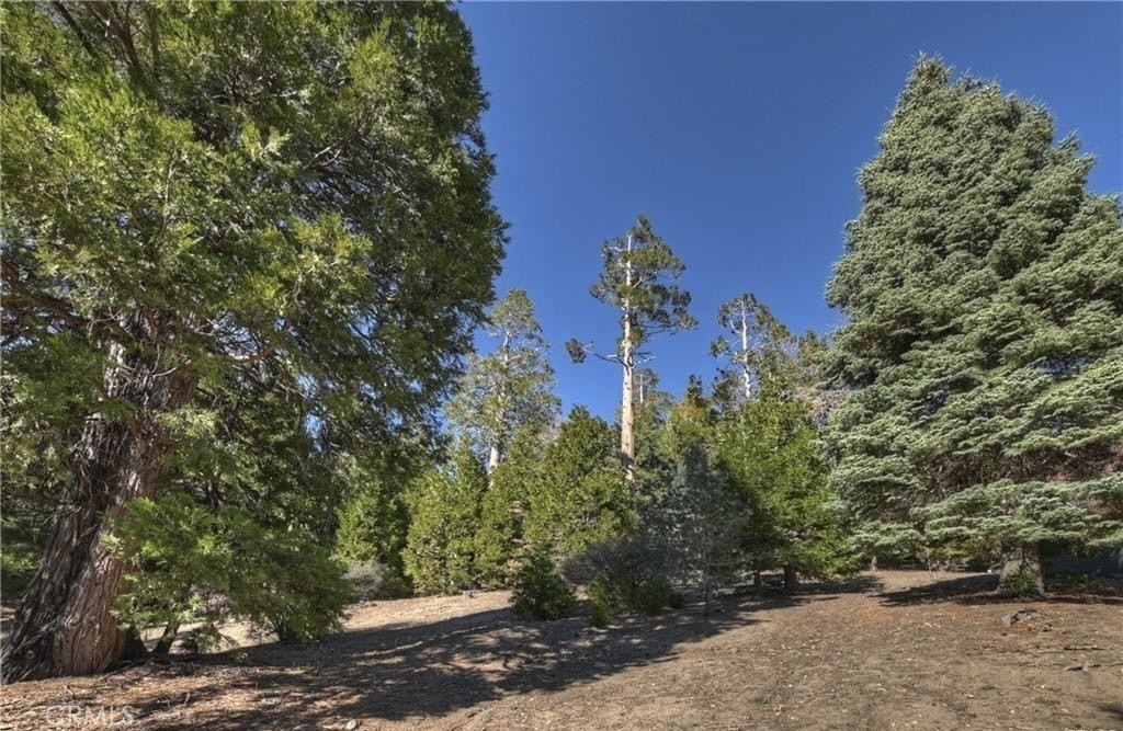 2402 Spring Oak Drive Running Springs, CA 92382 - Photo 9 of 11