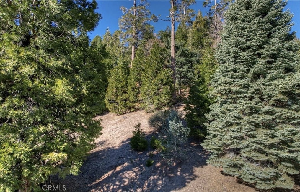 2402 Spring Oak Drive Running Springs, CA 92382 - Photo 10 of 11 a view of a yard with plants and tree