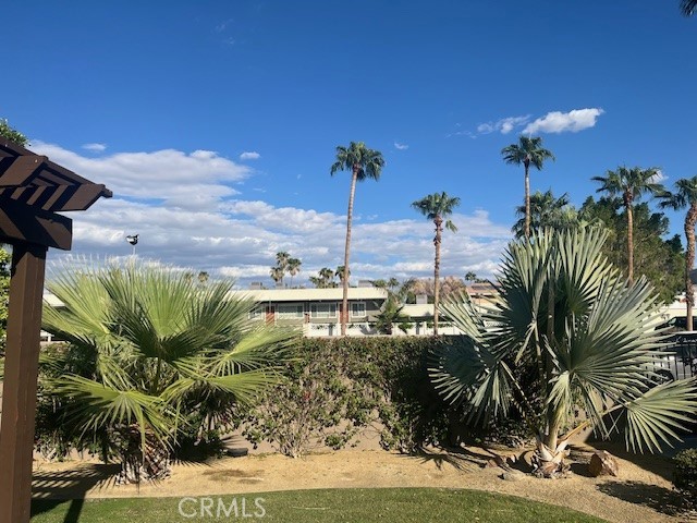 37067 Bankside Drive, Unit B Cathedral City, CA 92234 - Photo 21 of 23 a view of a palm tree in the middle of a house
