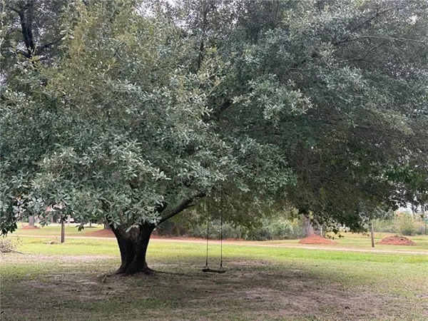 $1,300 | 11 Johnnys Road, Pineville, LA 71360