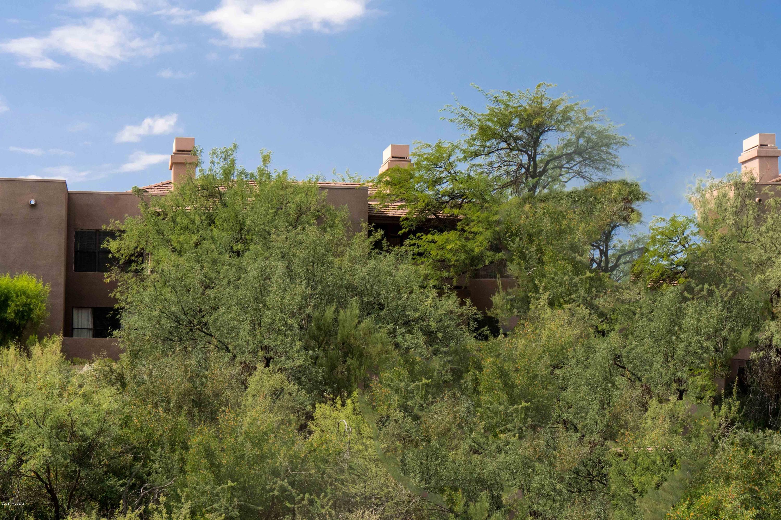 5855 North Kolb Road, Unit 1209 Tucson, AZ 85750 - Photo 16 of 23