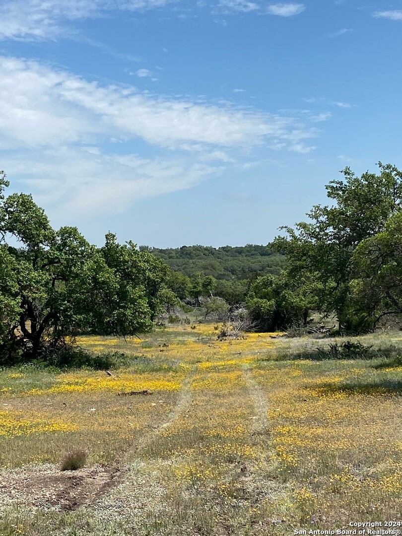 Tbd Taurus Ln Taurus Junction, TX 76849 - Photo 2 of 10