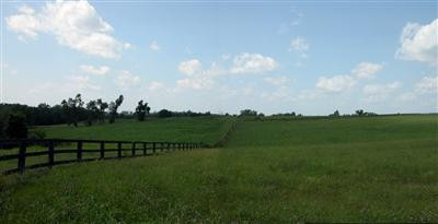 639 Paynes Depot Road Georgetown, KY 40324 - Photo 3 of 8 The farm is an estimated 75-80% Maury si