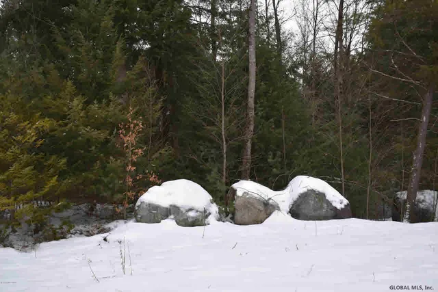 $32,500 | 60 Carriage Knolls Road, Chestertown, NY 12817