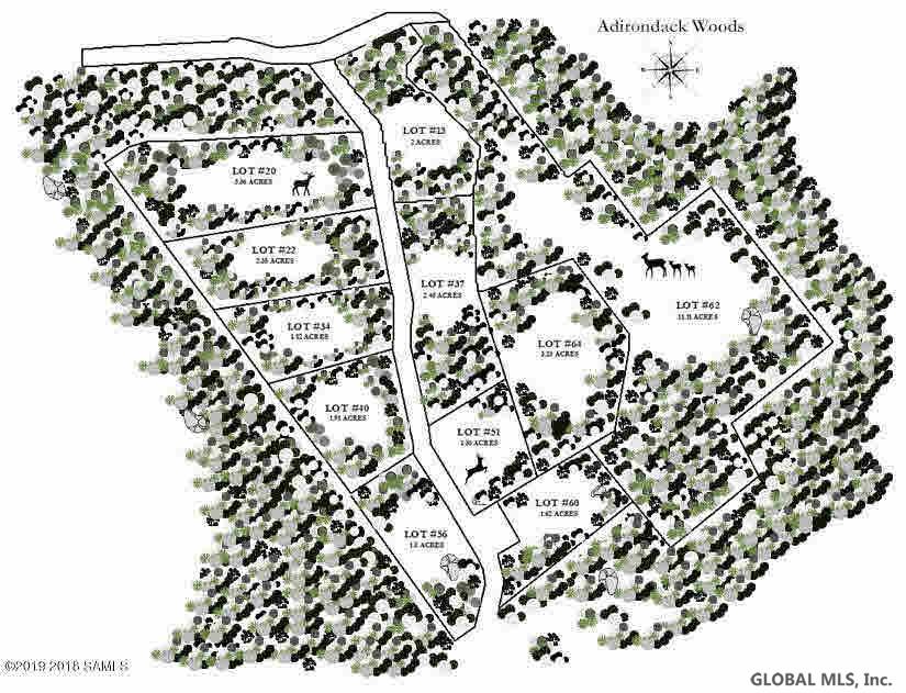 60 Carriage Knolls Road Chestertown, NY 12817 - Photo 2 of 23