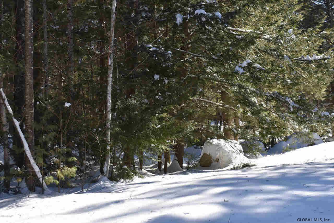 60 Carriage Knolls Road Chestertown, NY 12817 - Photo 11 of 23