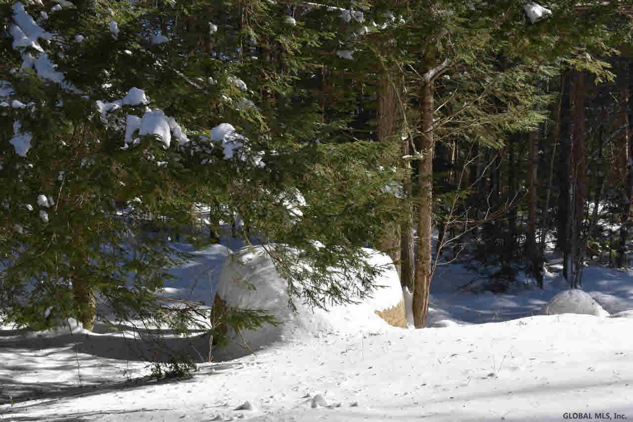 60 Carriage Knolls Road Chestertown, NY 12817 - Photo 14 of 23