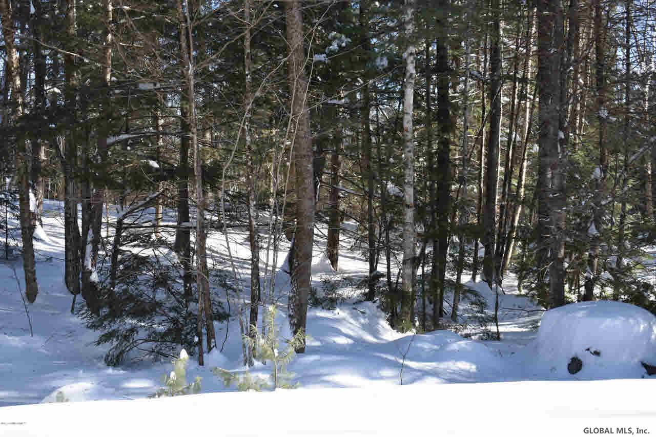 60 Carriage Knolls Road Chestertown, NY 12817 - Photo 16 of 23