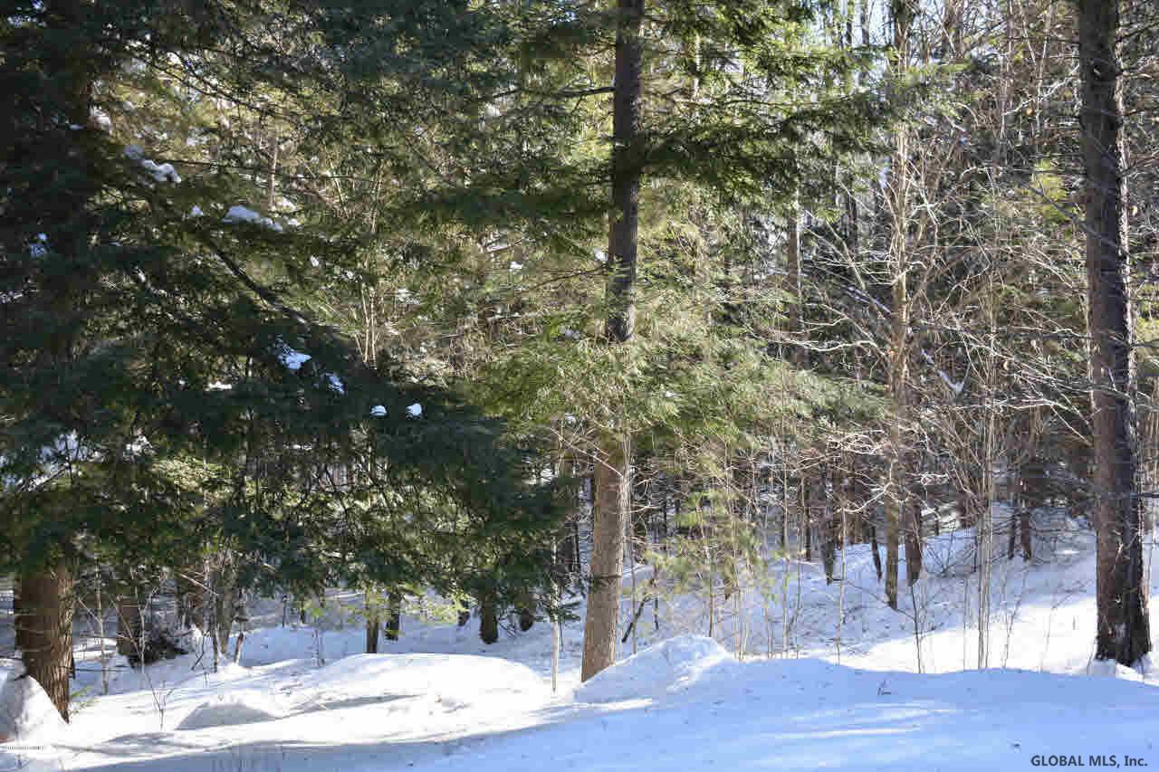 60 Carriage Knolls Road Chestertown, NY 12817 - Photo 20 of 23