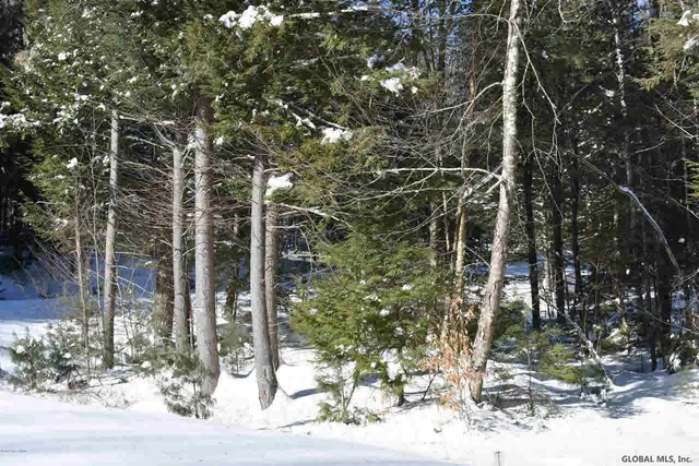 $32,500 | 60 Carriage Knolls Road, Chestertown, NY 12817