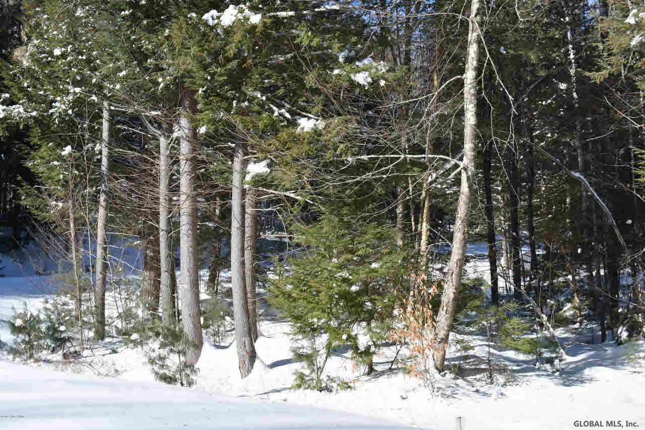 60 Carriage Knolls Road Chestertown, NY 12817 - Photo 22 of 23