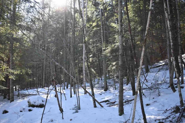 $32,500 | 60 Carriage Knolls Road, Chestertown, NY 12817