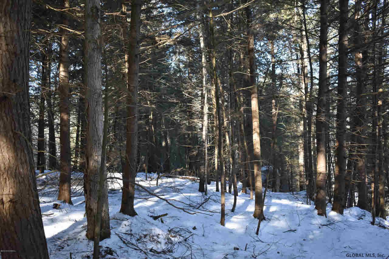 60 Carriage Knolls Road Chestertown, NY 12817 - Photo 6 of 23