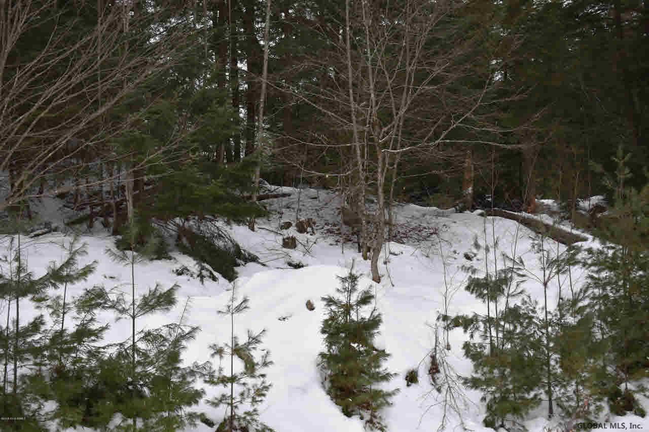 60 Carriage Knolls Road Chestertown, NY 12817 - Photo 7 of 23