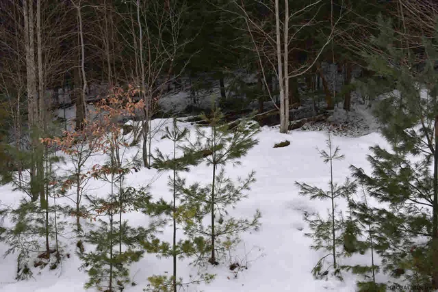 $32,500 | 60 Carriage Knolls Road, Chestertown, NY 12817