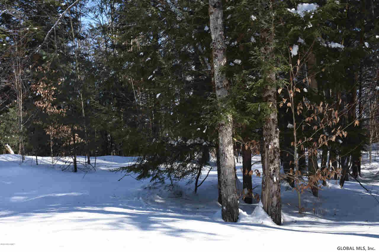 60 Carriage Knolls Road Chestertown, NY 12817 - Photo 10 of 23