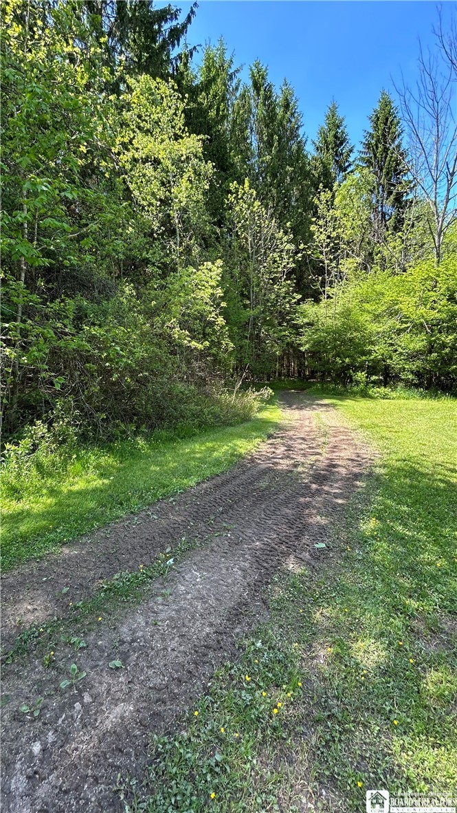 5386 Dean Road Stockton, NY 14784 - Photo 15 of 49