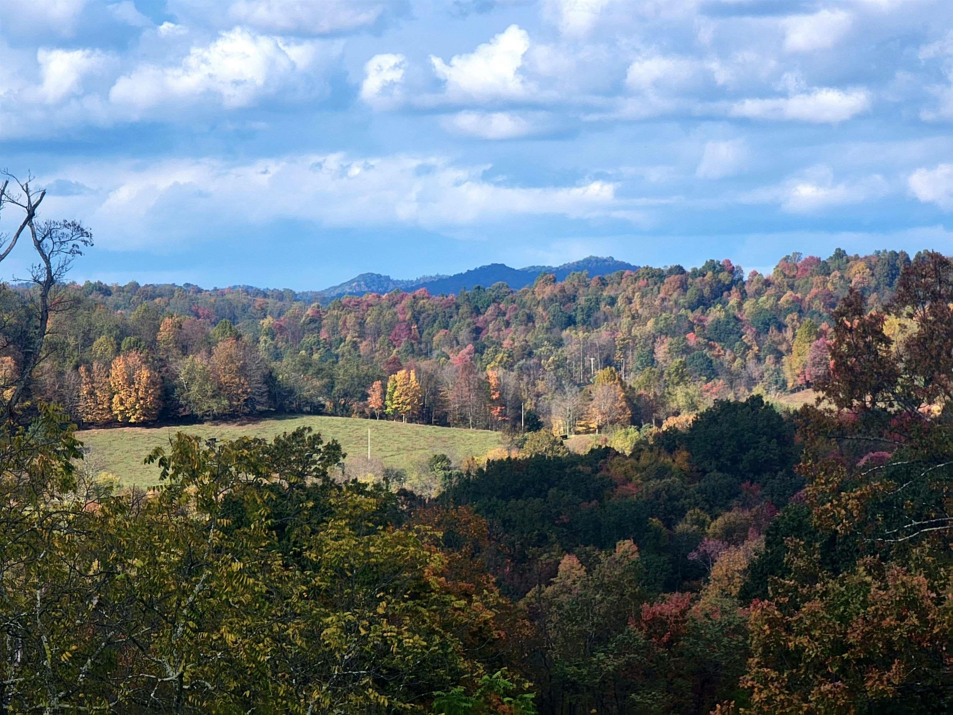 7531 Hall Road Buckhannon, WV 26201 - Photo 2 of 50 Gallery Image 2