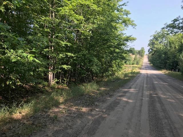 0 Brady Road Onaway, MI 49765 - Photo 23 of 28 Gallery Image 23