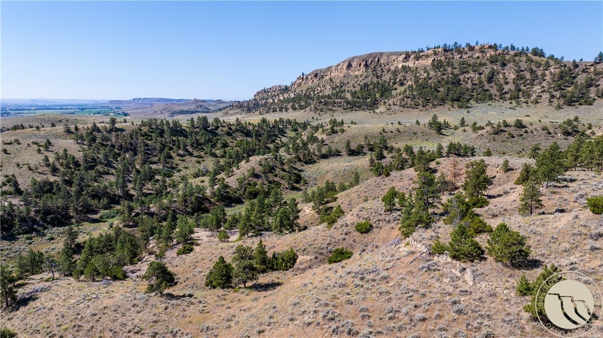 Tbd Gebo Road Fromberg, MT 59029 - Photo 16 of 20 Gallery Image 16