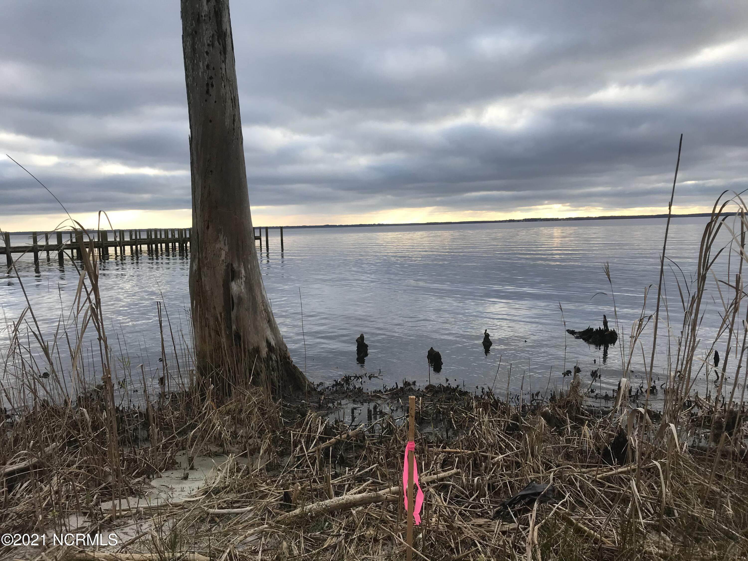 2-3 Chambers Point Road Belhaven, NC 27810 - Photo 1 of 6 River View