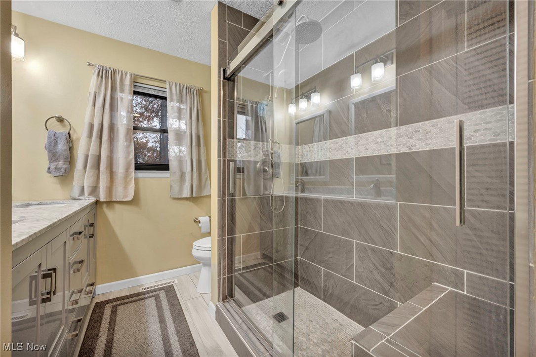 3739 Martha Road Kent, OH 44240 - Photo 28 of 50 Bathroom featuring vanity, a shower stall, and a textured ceiling