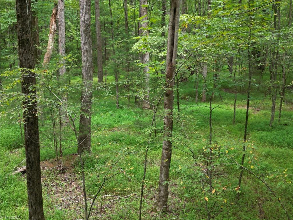 44650 Fish Camp Road New London, NC 28127 - Photo 1 of 23 Gallery Image 1