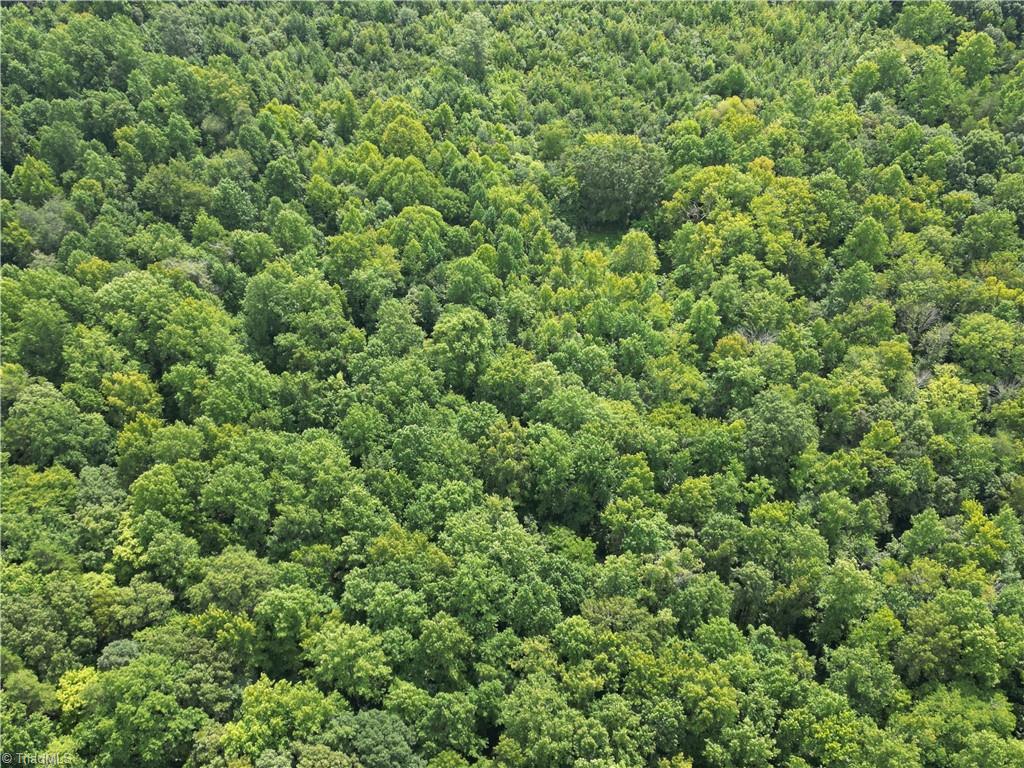 44650 Fish Camp Road New London, NC 28127 - Photo 13 of 23 Gallery Image 13