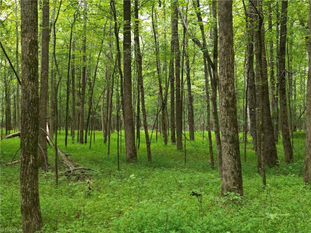 44650 Fish Camp Road New London, NC 28127 - Photo 17 of 23 Gallery Image 17