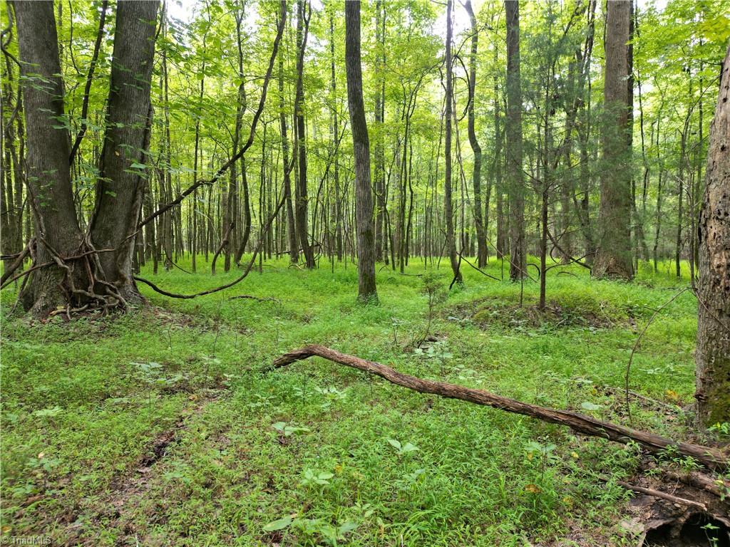 44650 Fish Camp Road New London, NC 28127 - Photo 18 of 23 Gallery Image 18