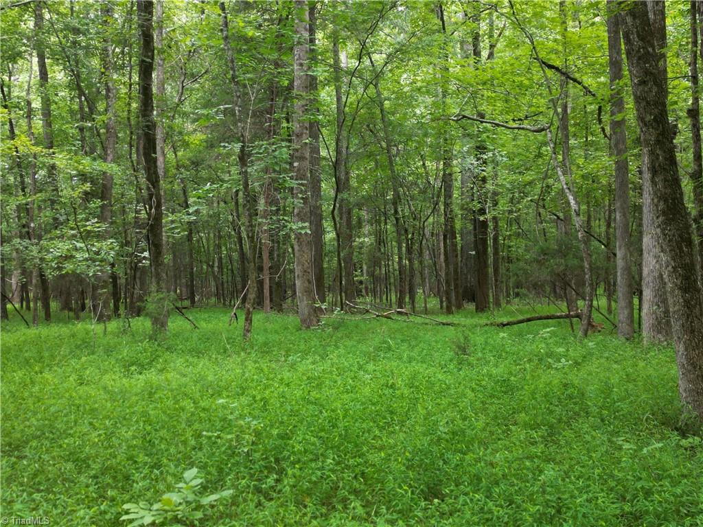 44650 Fish Camp Road New London, NC 28127 - Photo 5 of 23 Gallery Image 5