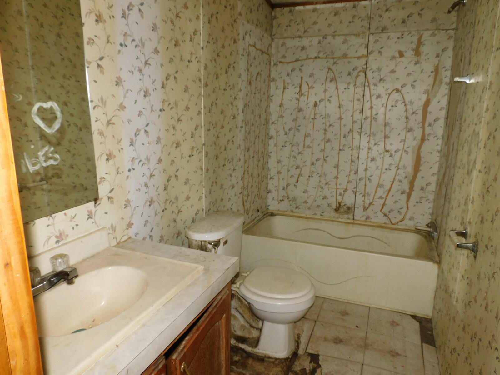 54329 Shannon Road Colon, MI 49040 - Photo 12 of 20 DSCN7791