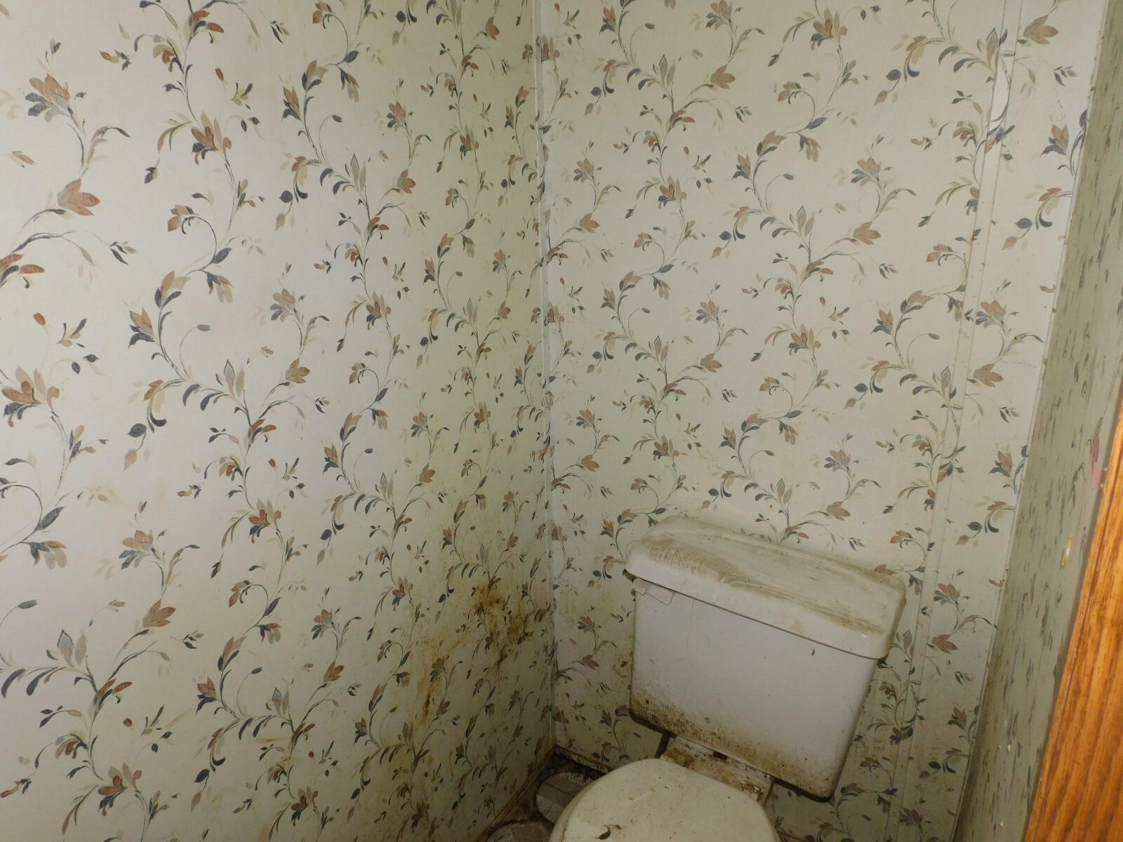 54329 Shannon Road Colon, MI 49040 - Photo 15 of 20 DSCN7805