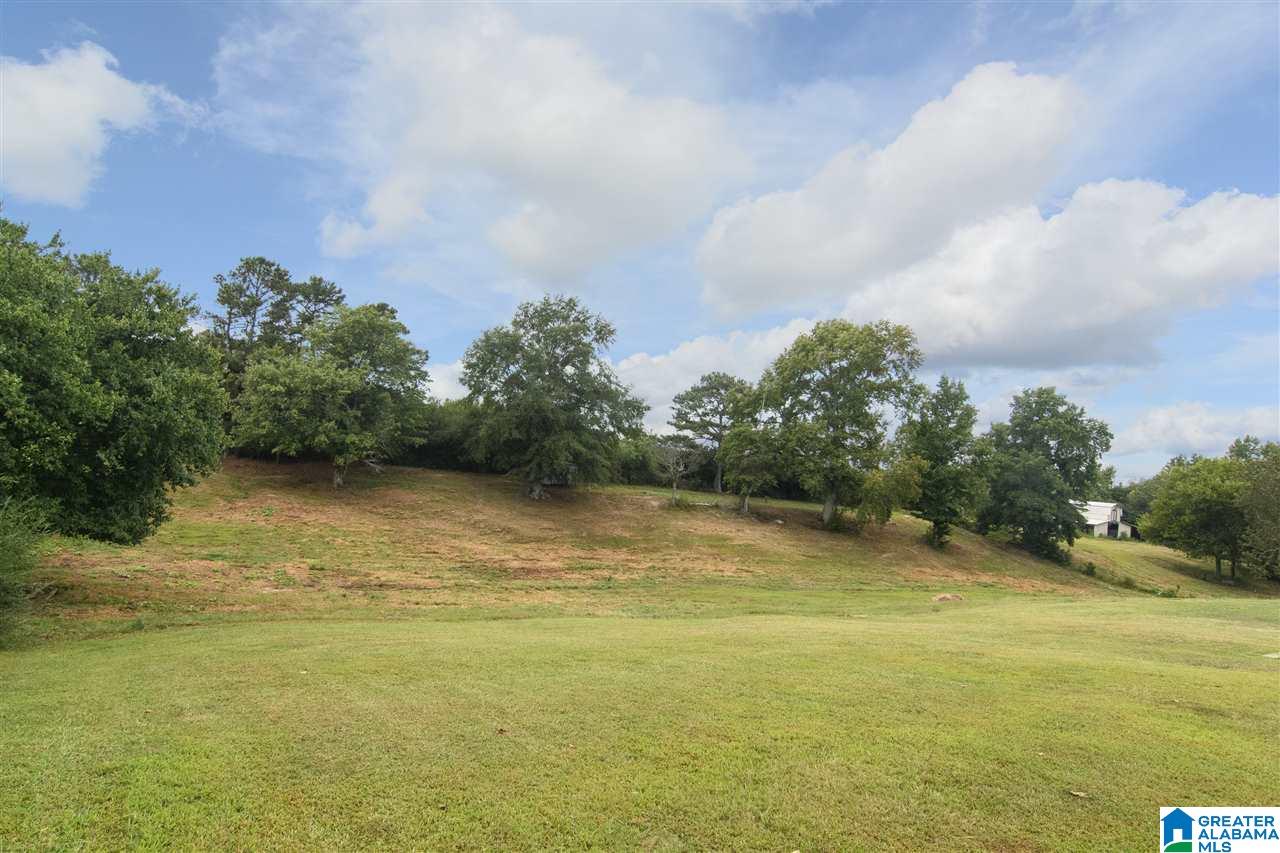 46559 Highway 231 Oneonta, AL 35121 - Photo 35 of 39