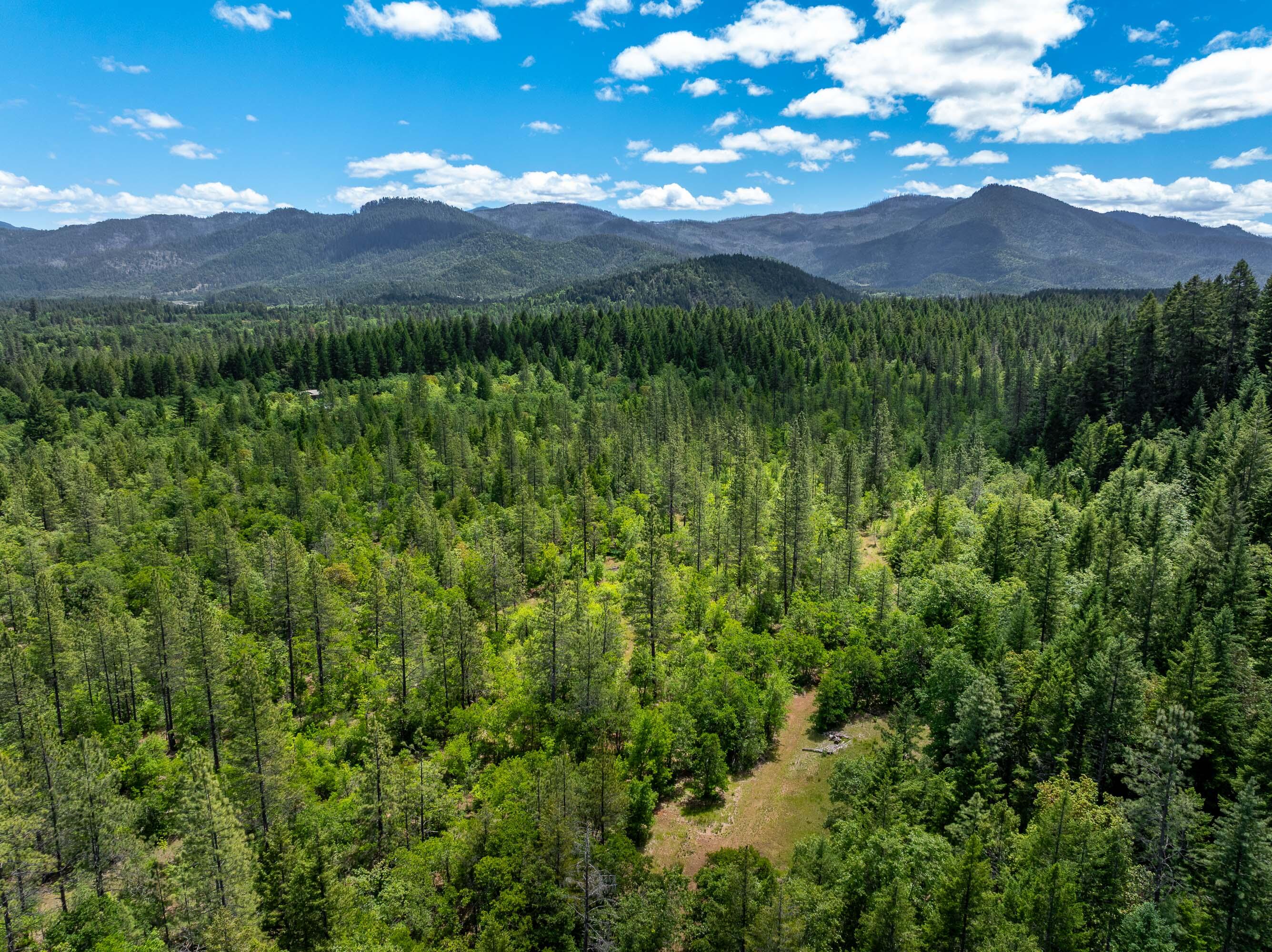 525 Sherier Road Cave Junction, OR 97523 - Photo 17 of 20 DRONE (8 of 9)