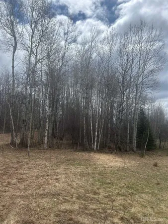 $34,900 | 10-1 Mill Pond Road, Trout Creek, MI 49967