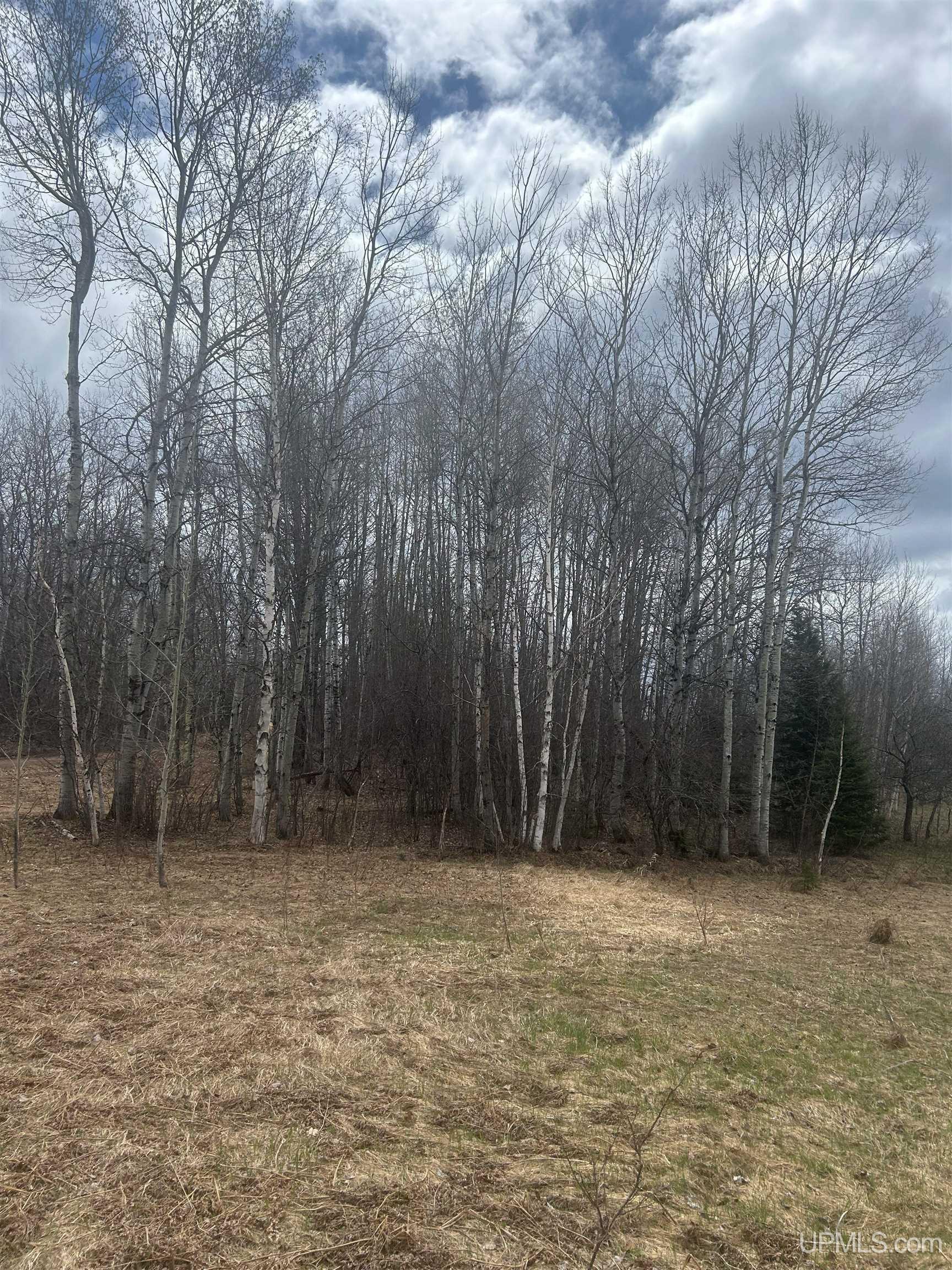 Tbd 10-1 Mill Pond Road Trout Creek, MI 49967 - Photo 1 of 23