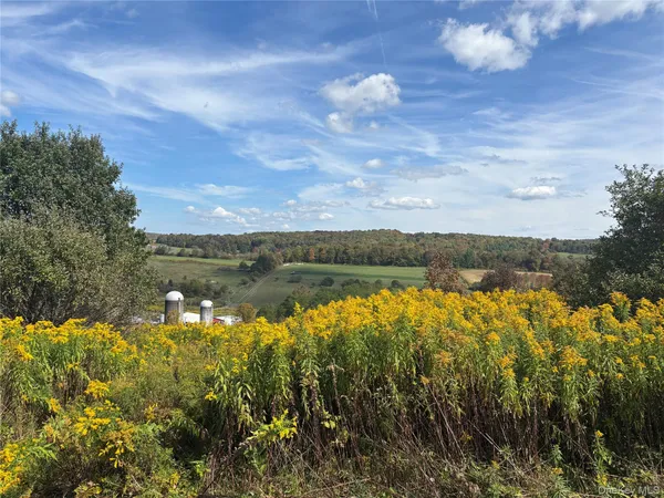 $99,000 | 413 Middlefield Road, Cooperstown, NY 13326