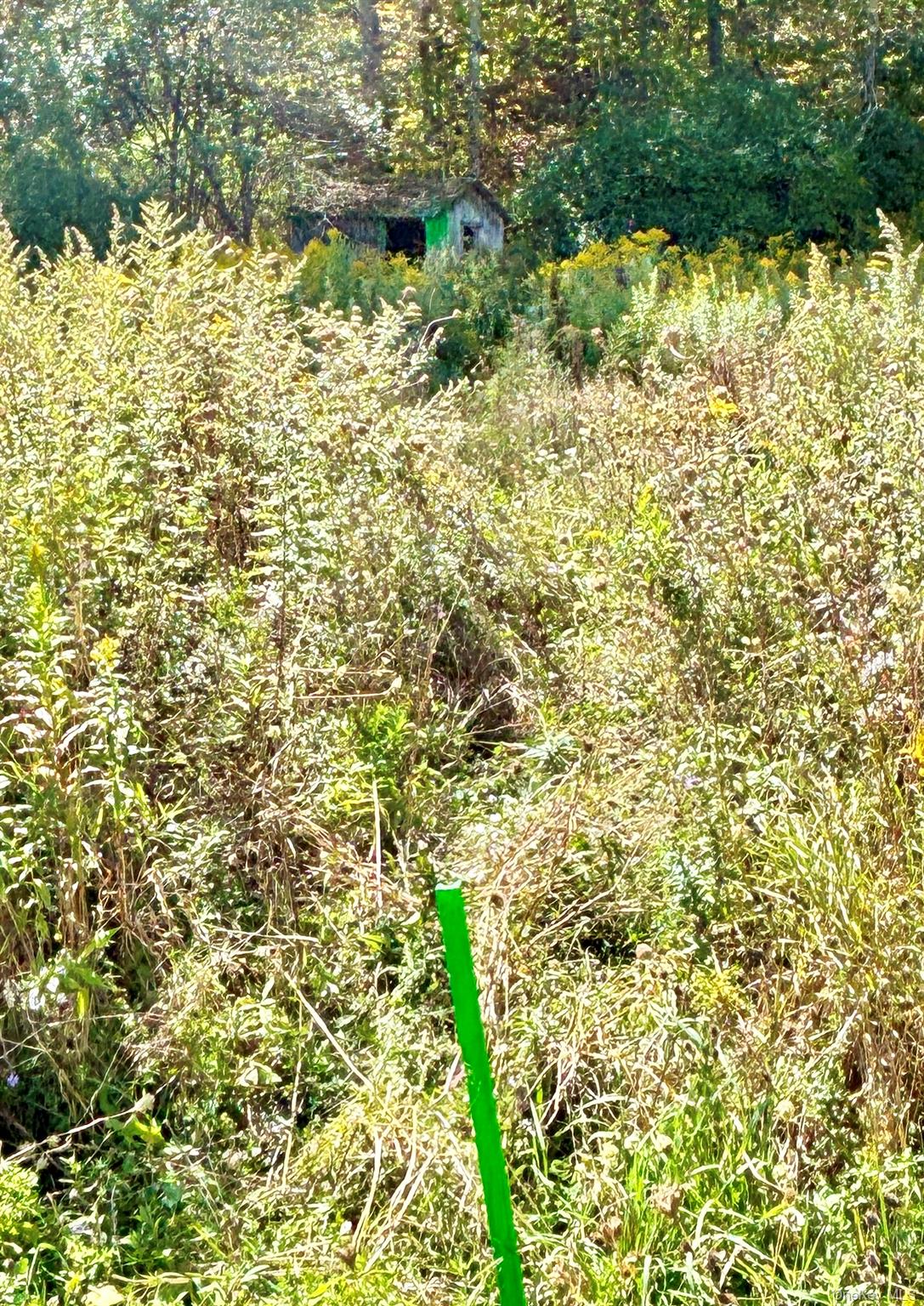 413 Middlefield Road Cooperstown, NY 13326 - Photo 15 of 23 Green stake by the main road to show where the well house is