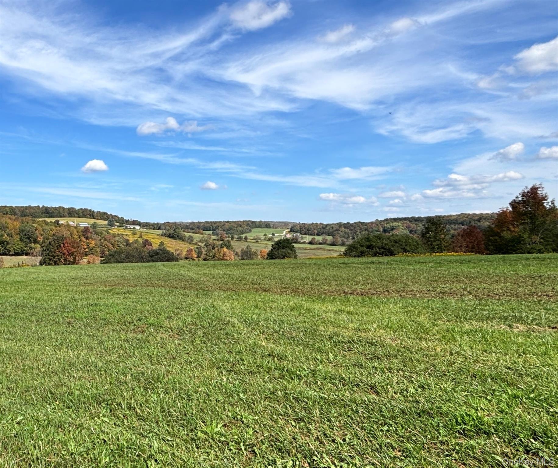413 Middlefield Road Cooperstown, NY 13326 - Photo 16 of 23 Flat field for building