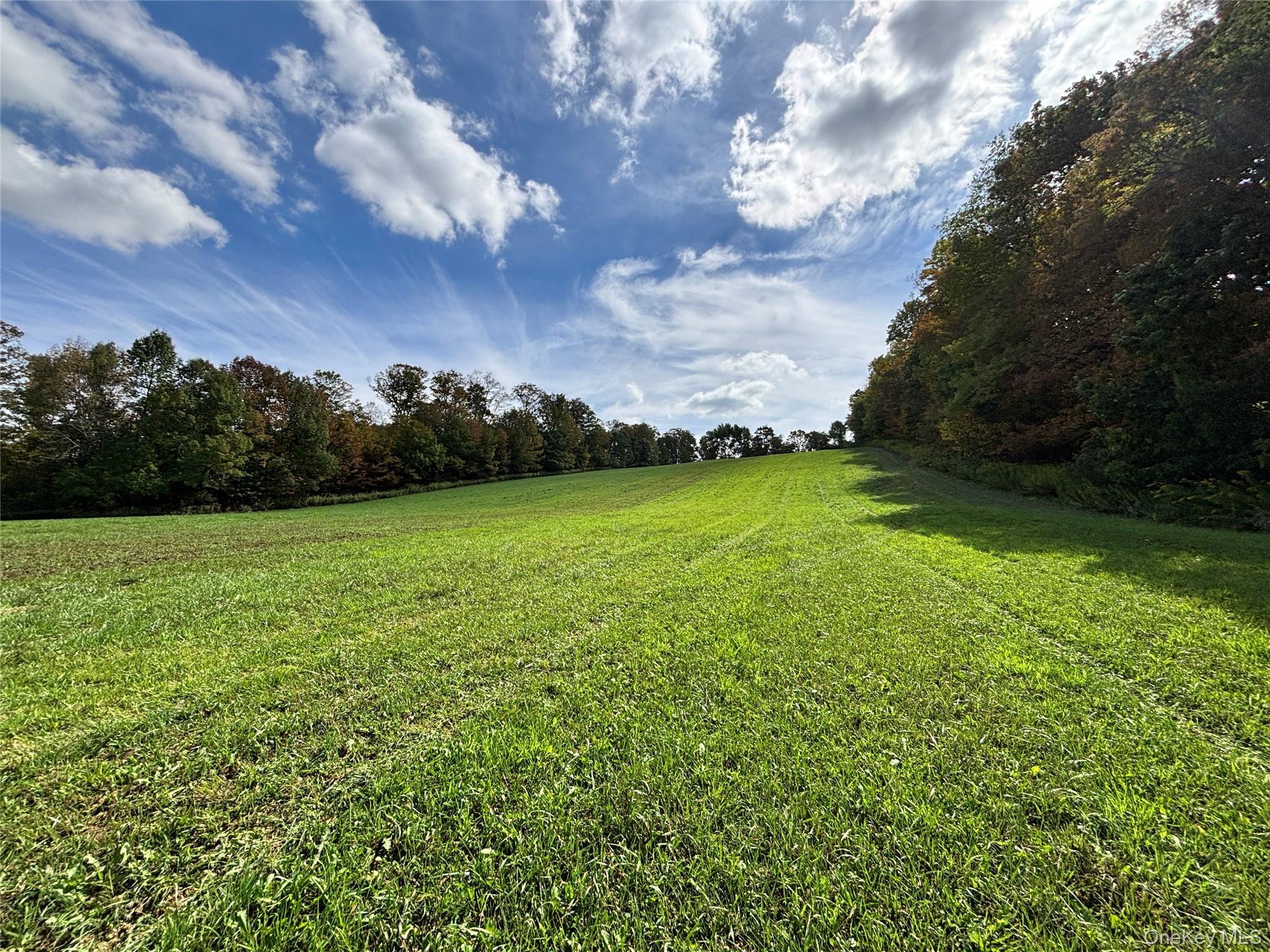 413 Middlefield Road Cooperstown, NY 13326 - Photo 17 of 23 Expansive views of flat fields