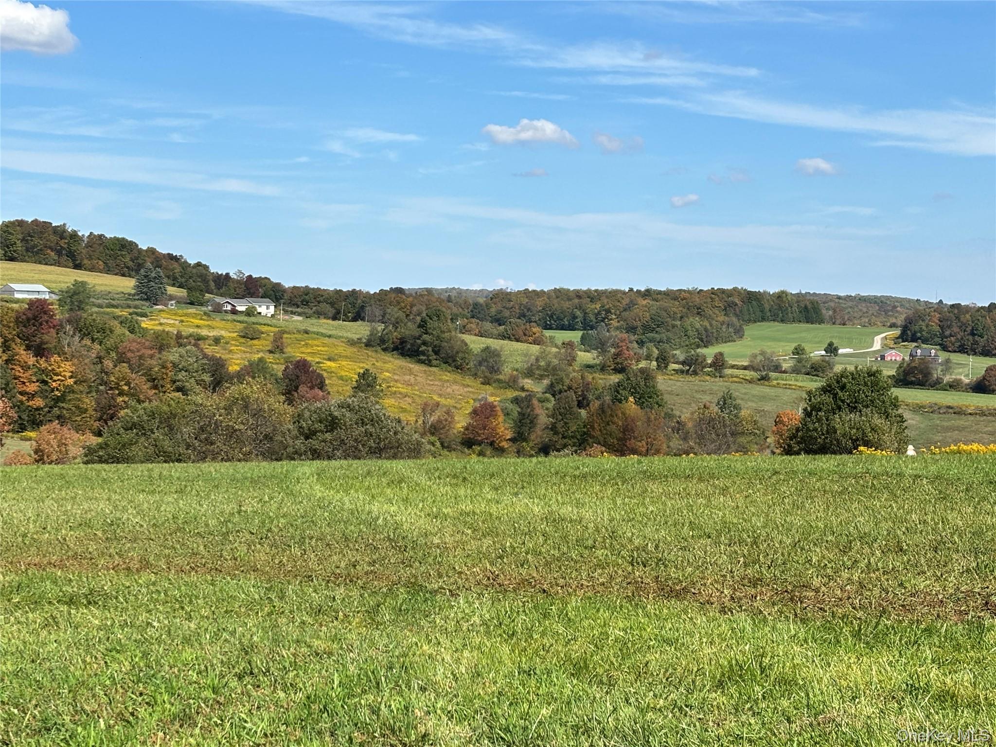 413 Middlefield Road Cooperstown, NY 13326 - Photo 19 of 23