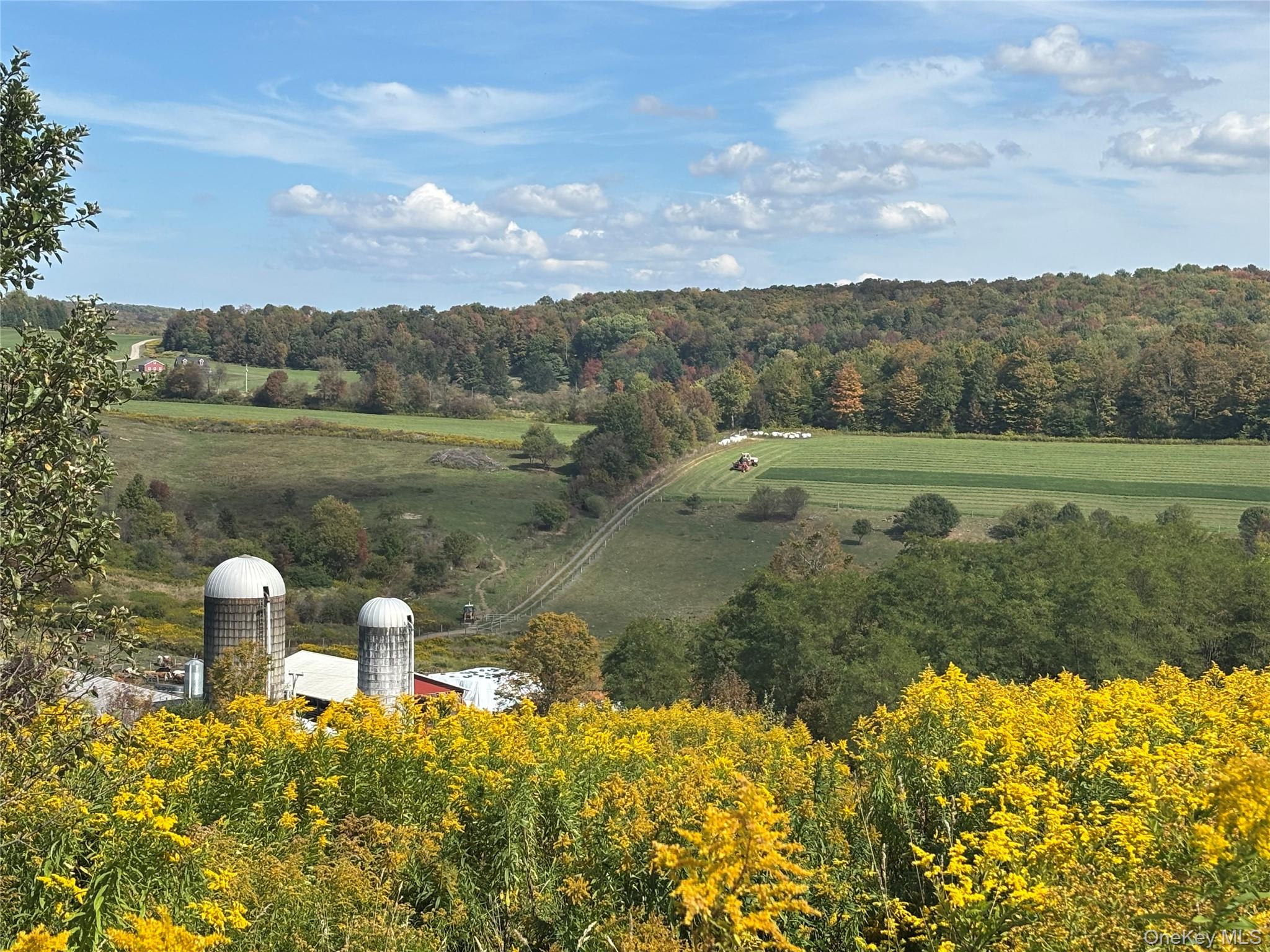 413 Middlefield Road Cooperstown, NY 13326 - Photo 2 of 23