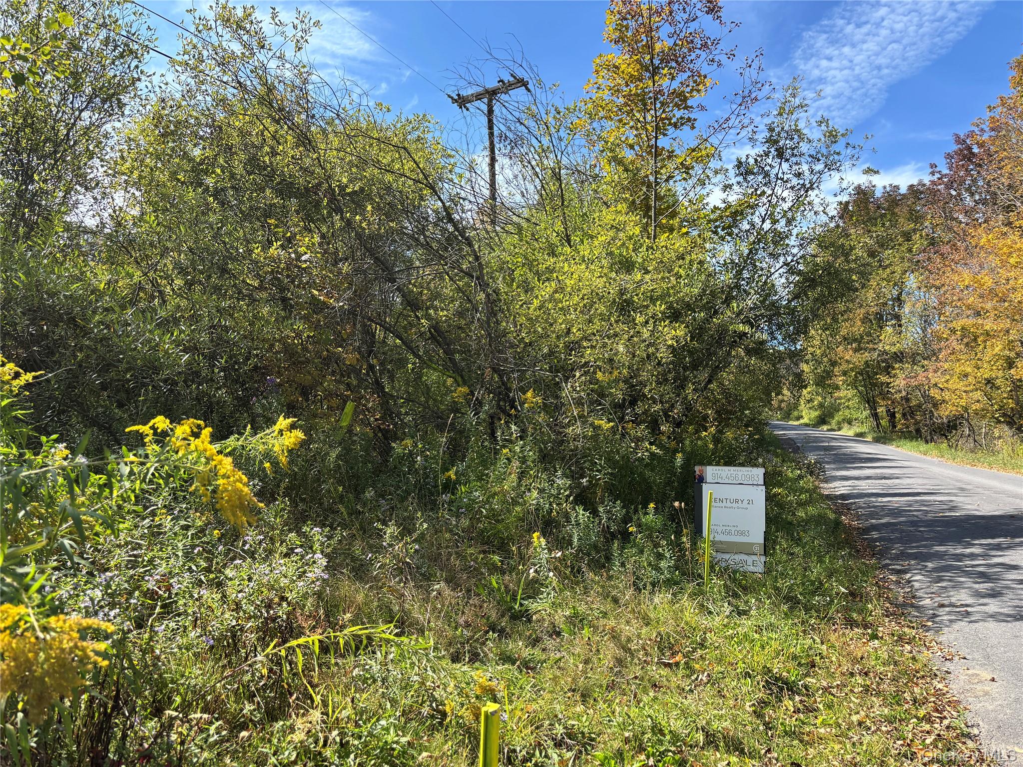 413 Middlefield Road Cooperstown, NY 13326 - Photo 21 of 23 Private access road which takes you to the top of the property where the flat fields are which could be a building site